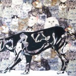 katze such superstar